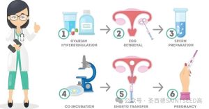 图片[5]-成功率超高的亚洲代孕明星——泰国 - 辅助生殖论坛-辅助生殖论坛