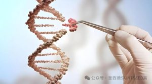 图片[6]-成功率超高的亚洲代孕明星——泰国 - 辅助生殖论坛-辅助生殖论坛