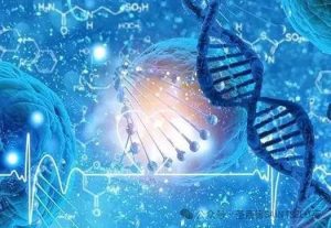 图片[3]-高性价比代孕之地——马来西亚 - 辅助生殖论坛-辅助生殖论坛