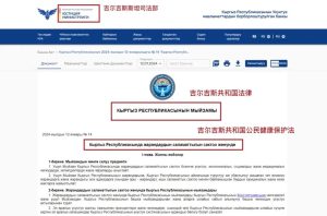 图片[2]-吉尔吉斯斯坦——合法第三方代孕的“新大陆” - 辅助生殖论坛-辅助生殖论坛