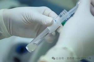 图片[2]-单身男性国外代孕攻略：实现父亲梦想的黄金指南！ - 辅助生殖论坛-辅助生殖论坛