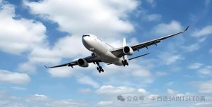 图片[4]-单身男性国外代孕攻略：实现父亲梦想的黄金指南！ - 辅助生殖论坛-辅助生殖论坛