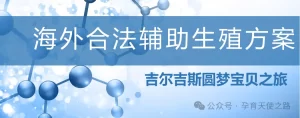 吉尔吉斯斯坦代孕宝宝回来怎么上户口？ - 辅助生殖论坛-辅助生殖论坛