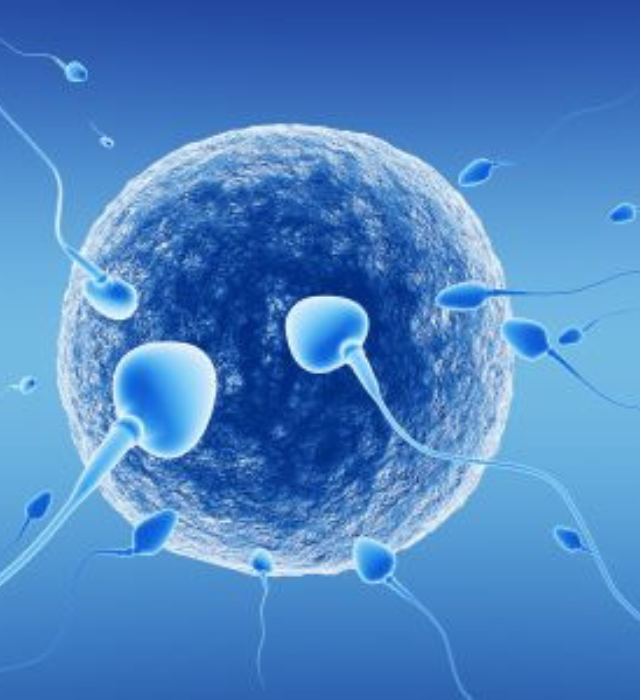 图片[2]-印度德里的试管婴儿过程费用 - 辅助生殖论坛-辅助生殖论坛