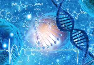 图片[2]-干货分享｜ 哈萨克斯坦第三方试管代孕6问6答 - 辅助生殖论坛-辅助生殖论坛