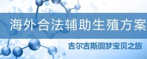 单身人士可以去哪些国家做辅助生殖？具体如何做？ - 辅助生殖论坛-辅助生殖论坛