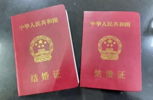 图片[2]-海外辅助生殖需要在国内办理哪些证件？ - 辅助生殖论坛-辅助生殖论坛