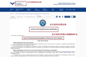 图片[2]-吉尔吉斯斯坦：代孕政策与生活指南 - 辅助生殖论坛-辅助生殖论坛