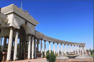 图片[2]-哈萨克斯坦为何是代孕的好去处？ - 辅助生殖论坛-辅助生殖论坛