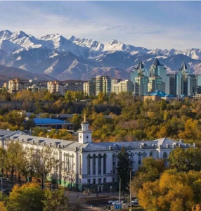 图片[6]-哈萨克斯坦为何是代孕的好去处？ - 辅助生殖论坛-辅助生殖论坛