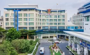 图片[5]-泰国大力发展辅助生殖医疗，高成功率是吸引力法宝 - 辅助生殖论坛-辅助生殖论坛