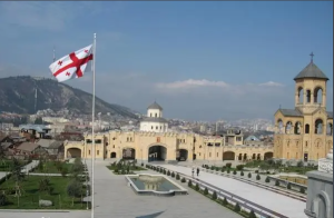 图片[6]-格鲁吉亚代孕法案变动！禁令未定，尽早规划 - 辅助生殖论坛-辅助生殖论坛