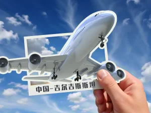 图片[7]-赴吉尔吉斯斯坦第三方试管代孕优势+客户热门Q&A答疑！ - 辅助生殖论坛-辅助生殖论坛