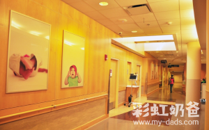 图片[6]-美国出生的宝宝怎么回国？如何办理中国户口？ - 辅助生殖论坛-辅助生殖论坛