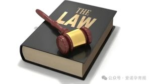 图片[2]-海外合法代孕生子，美国为何成为高预算首选 - 辅助生殖论坛-辅助生殖论坛