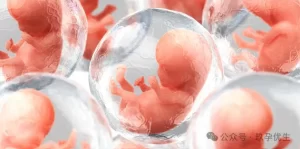 图片[3]-详细对比：海外代孕如何选？泰国老挝or美国？ - 辅助生殖论坛-辅助生殖论坛