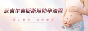 海外代孕新晋黑马—吉尔吉斯斯坦代孕流程 - 辅助生殖论坛-辅助生殖论坛