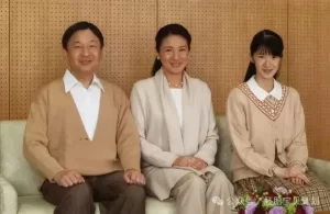 图片[4]-海外代孕合法吗？试管包成功可行吗？ - 辅助生殖论坛-辅助生殖论坛