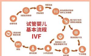 图片[7]-DELTA辅助生殖医院力争2024年单身试管代孕优选top1——吉尔吉斯得儿达辅助生殖医院流程简述~ - 辅助生殖论坛-辅助生殖论坛