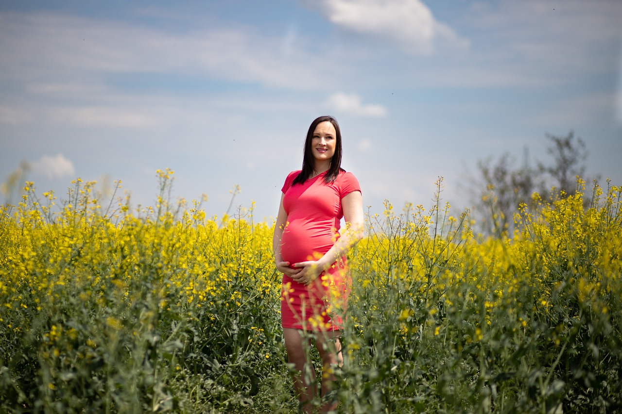 怀孕, 孕, 婴儿, 母性, 女士, 美丽, 自然, 户外