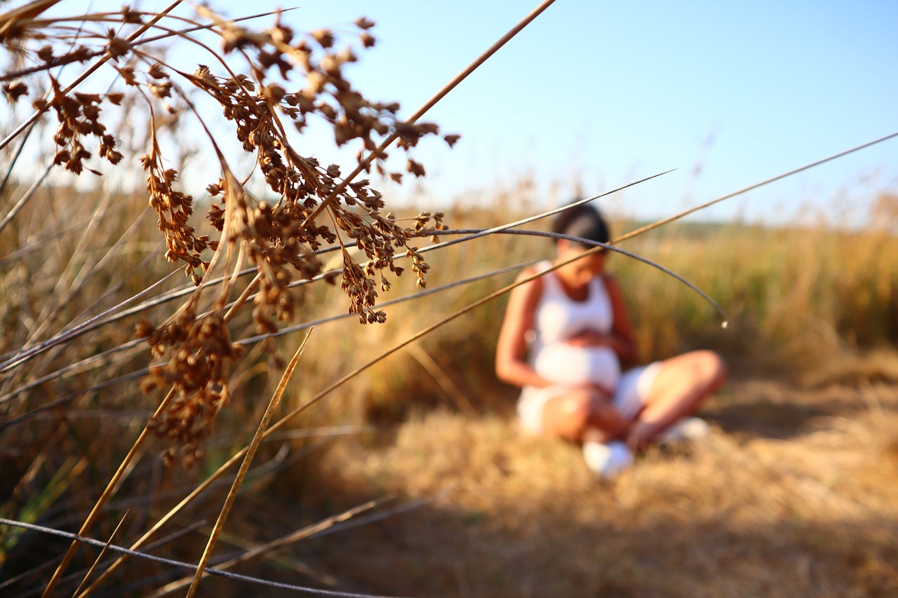 图片[2]-佛罗里达州的妊娠代孕：综合指南 - 辅助生殖论坛-辅助生殖论坛