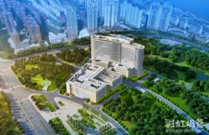 图片[2]-最新！2024年全球哪些国家允许合法代孕？ - 辅助生殖论坛-辅助生殖论坛