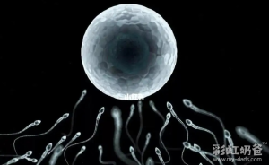 图片[4]-最新！2024年全球哪些国家允许合法代孕？ - 辅助生殖论坛-辅助生殖论坛