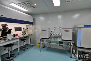 图片[5]-最新！2024年全球哪些国家允许合法代孕？ - 辅助生殖论坛-辅助生殖论坛