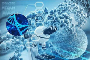 图片[2]-跨国代孕新篇章：哈萨克斯坦第三方辅助生殖政策引领国际趋势 - 辅助生殖论坛-辅助生殖论坛