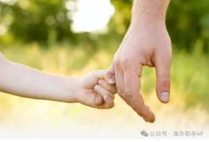 图片[3]-2024哈萨克斯坦代孕政策深度解读：第三方辅助生殖的权益与挑战 - 辅助生殖论坛-辅助生殖论坛