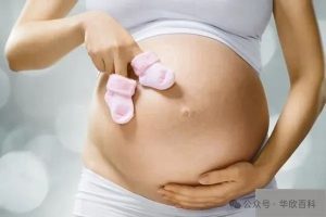 图片[2]-无子宫女性的奇迹之旅：通过第三方辅助生殖实现孕育梦想 - 辅助生殖论坛-辅助生殖论坛