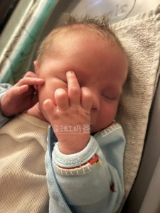 图片[9]-哈萨克斯坦代孕合法化的背后故事 - 辅助生殖论坛-辅助生殖论坛