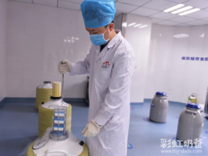 图片[5]-选谁的精子代孕？台湾网红夫夫吵翻，医生这个建议让他们闭嘴 - 辅助生殖论坛-辅助生殖论坛