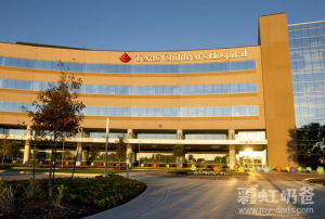 图片[5]-中国邻国吉尔吉斯斯坦，人口仅720万，代孕竟然合法化 - 辅助生殖论坛-辅助生殖论坛