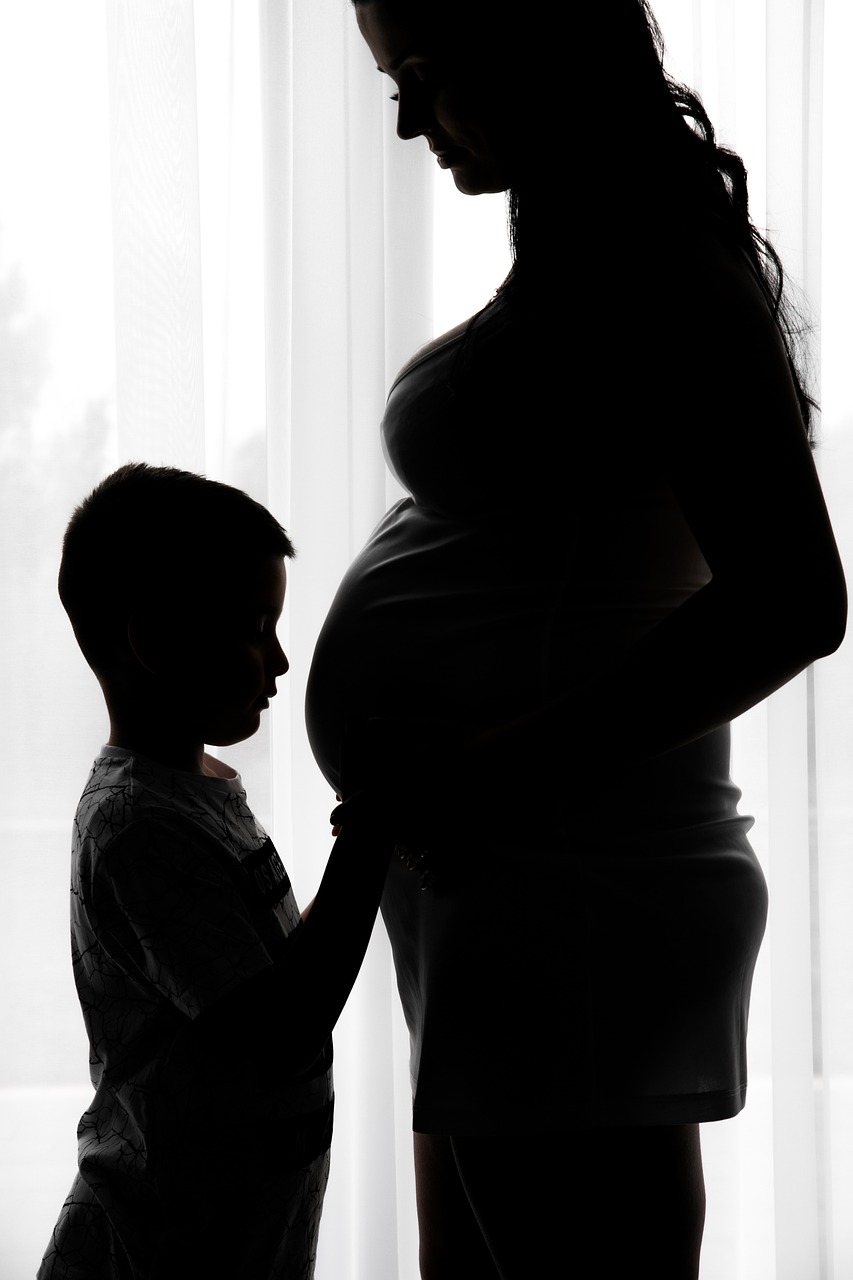 图片[2]-爱荷华州妊娠代孕：综合指南 - 辅助生殖论坛-辅助生殖论坛