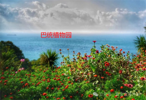 图片[5]-你对格鲁吉亚巴统和BIRTH了解多少? - 辅助生殖论坛-辅助生殖论坛