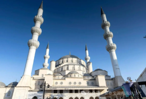 图片[2]-为什么吉尔吉斯斯坦成为海外代孕的新宠？ - 辅助生殖论坛-辅助生殖论坛