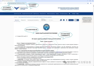 图片[2]-全球最具性价比的单身合法第三方辅助生殖热门国家-吉尔吉斯斯坦 - 辅助生殖论坛-辅助生殖论坛