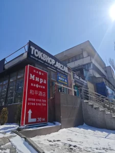 图片[12]-全球最具性价比的单身合法第三方辅助生殖热门国家-吉尔吉斯斯坦 - 辅助生殖论坛-辅助生殖论坛