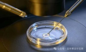 图片[5]-赴吉尔吉斯代孕前检查项目，一次性全了解！ - 辅助生殖论坛-辅助生殖论坛