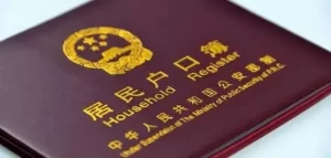 图片[2]-吉尔吉斯斯坦宝宝回国办理流程全解析！ - 辅助生殖论坛-辅助生殖论坛