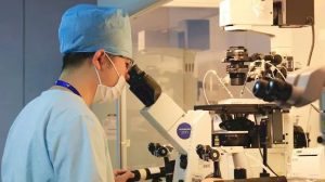 图片[2]-吉尔吉斯斯坦代孕之旅：从促排到移植的全程指南‌ - 辅助生殖论坛-辅助生殖论坛