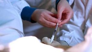 图片[3]-吉尔吉斯斯坦代孕之旅：从促排到移植的全程指南‌ - 辅助生殖论坛-辅助生殖论坛