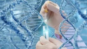 图片[4]-吉尔吉斯斯坦代孕之旅：从促排到移植的全程指南‌ - 辅助生殖论坛-辅助生殖论坛