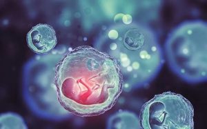 图片[5]-吉尔吉斯斯坦代孕之旅：从促排到移植的全程指南‌ - 辅助生殖论坛-辅助生殖论坛