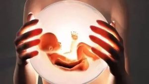 图片[6]-吉尔吉斯斯坦代孕之旅：从促排到移植的全程指南‌ - 辅助生殖论坛-辅助生殖论坛