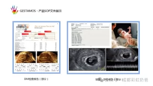 图片[7]-【哥伦比亚：生育的希望之地】 - 辅助生殖论坛-辅助生殖论坛