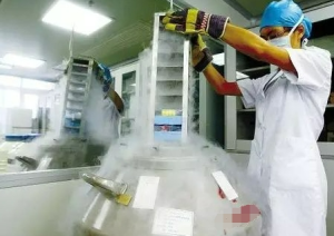 图片[2]-试管代孕火线支援：供精、赠卵有什么要求？ - 辅助生殖论坛-辅助生殖论坛