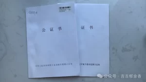 单身赴吉尔吉斯斯坦代孕出行的注意事项 - 辅助生殖论坛-辅助生殖论坛