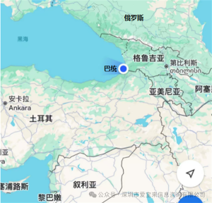 图片[4]-格鲁吉亚试管代孕秘籍：解锁格鲁吉亚生育新纪元 - 辅助生殖论坛-辅助生殖论坛